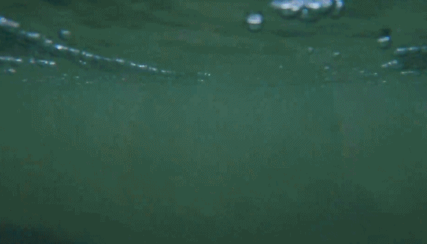 微信圖片_20230815160147.gif