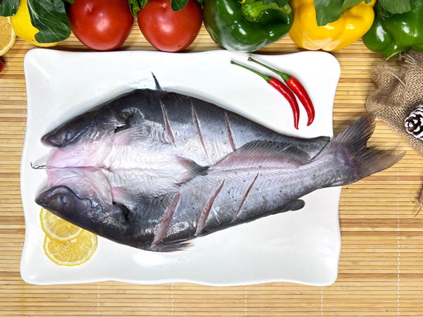 開背清江魚（叉尾鮰魚）